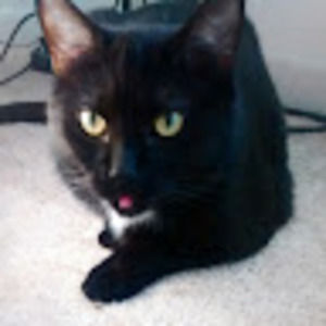 Meet your Posher, Jenna